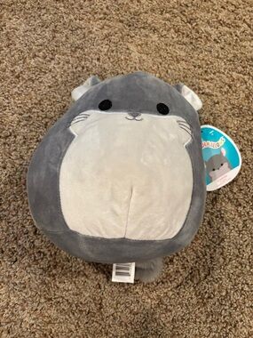 NWT 8 in Camilo the Mouse Squishmallow